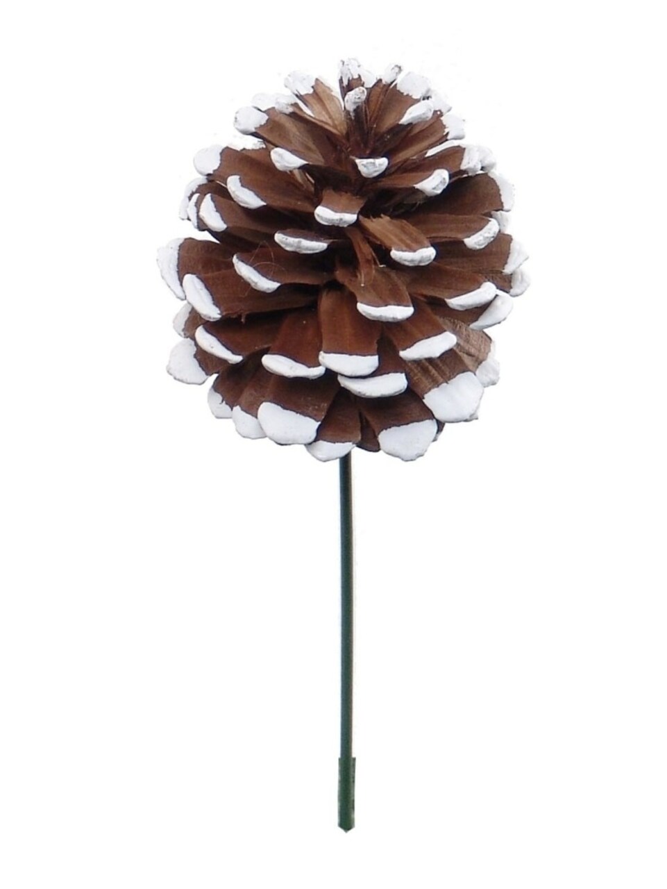 2.5" White Tipped Cone Picks – 12pcs | Versatile Floral & Craft Accents for Home & Events